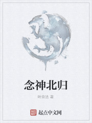 񱱹